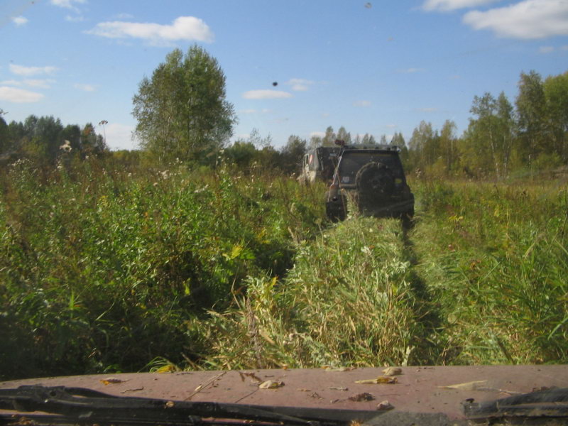 Праздник селедки в амстердаме