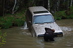 ���� �������� ����� 2009